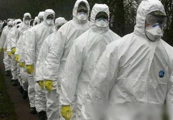 劳保用品集中采购与分散采购的利弊分析
