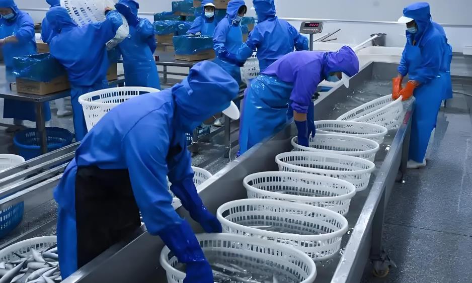水产养殖行业穿什么工作服好